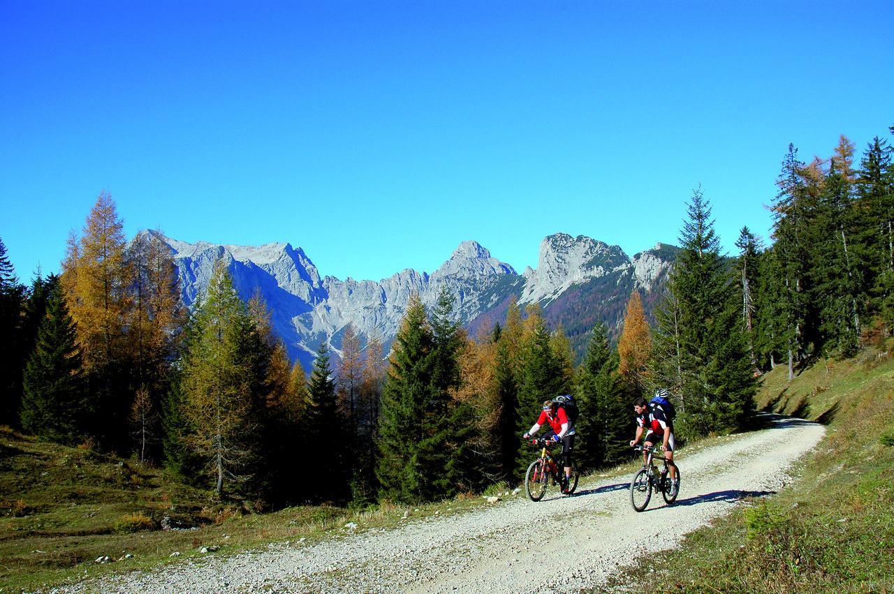 Landgasthof Buchner Gasthof 3*
